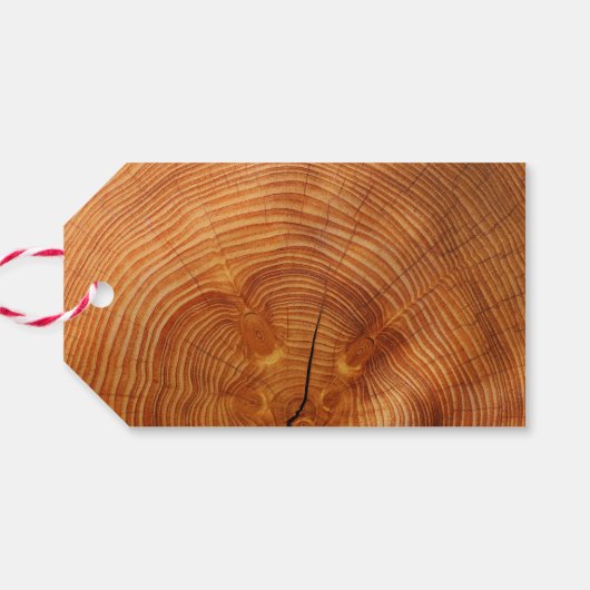 Babydusche - Sagittarius Geschenkanhänger (Rückseite Horizontal)