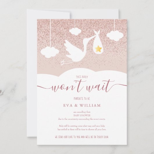 Babydusche, Sprinkle Storch Glitzer Einladung (Vorderseite)