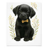 Babydusche Wall Art Fotodruck (Vorne)