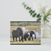 BabyElefanten- und Familienkarte Postkarte (Stehend Vorderseite)