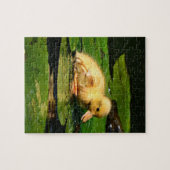 Babyente auf Lily Pad Puzzle (Horizontal)
