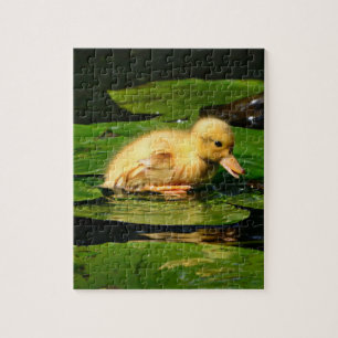 Babyente auf Lily Pad Puzzle