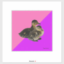 Babyenten auf rosa Himbeere und Lila Sorbet