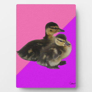 Babyenten auf rosa Himbeere und Lila Sorbet Fotoplatte