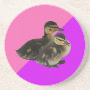 Babyenten auf rosa Himbeere und Lila Sorbet Getränkeuntersetzer