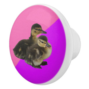 Babyenten auf rosa Himbeere und Lila Sorbet Keramikknauf