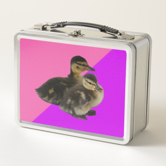 Babyenten auf rosa Himbeere und Lila Sorbet Metall Brotdose (Vorderseite)