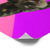 Babyenten auf rosa Himbeere und Lila Sorbet Poster (Ecke)