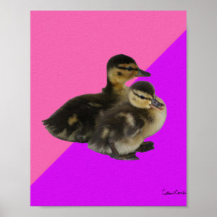 Babyenten auf rosa Himbeere und Lila Sorbet Poster