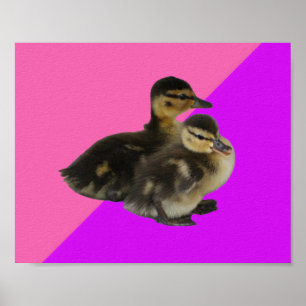 Babyenten auf rosa Himbeere und Lila Sorbet Poster