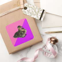 Babyenten auf rosa Himbeere und Lila Sorbet
