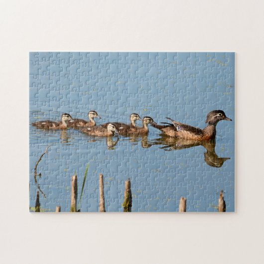Babyenten in Folge des Mama Jigsaw Puzzle (Horizontal)