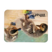 Babyenten schauen sich was an? magnet (Horizontal)