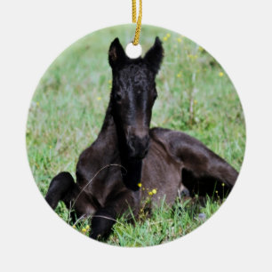 Babyfohlen, das im WiesenWeihnachtsbaum liegt Keramikornament