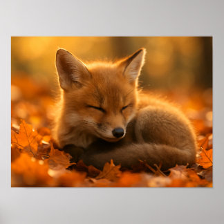 Babyfuchs im Herbst Poster