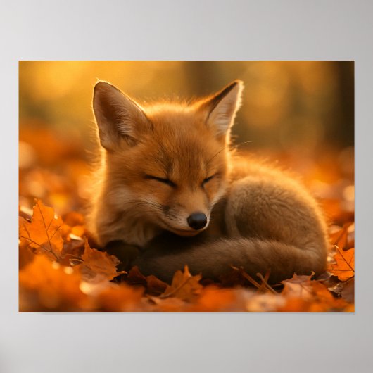 Babyfuchs im Herbst Poster (Vorne)