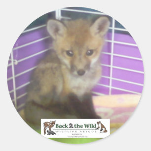 Babyfuchs Runder Aufkleber