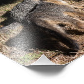 Babyfüchse Fotodruck (Ecke)