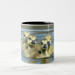 Babygänse Zweifarbige Tasse