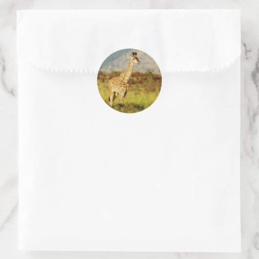 Babygiraffe für Wildtiere Runder Aufkleber (Tasche)