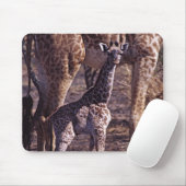 Babygiraffe und Mutter, Tansania Mousepad (Mit Mouse)