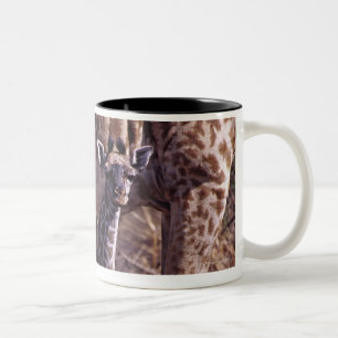 Babygiraffe und Mutter, Tansania Zweifarbige Tasse