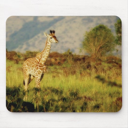 Babygiraffen-wild lebende Tiere mousepads (Vorne)