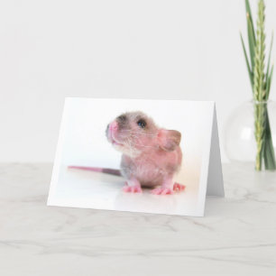 Babygobi-Ratte Karte