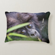 Babygorilla von Ruanda Afrika