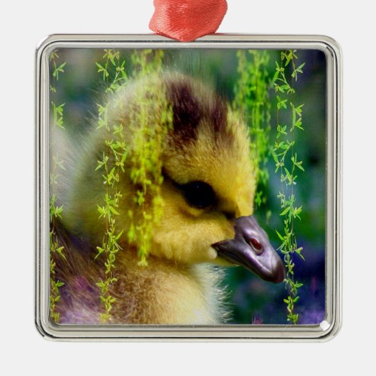 Babygoslings-Verzierung Silbernes Ornament (Vorne)