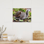 BabyGrey Poster (Küche)