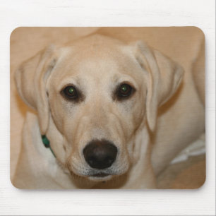 BabyGus Mousepad