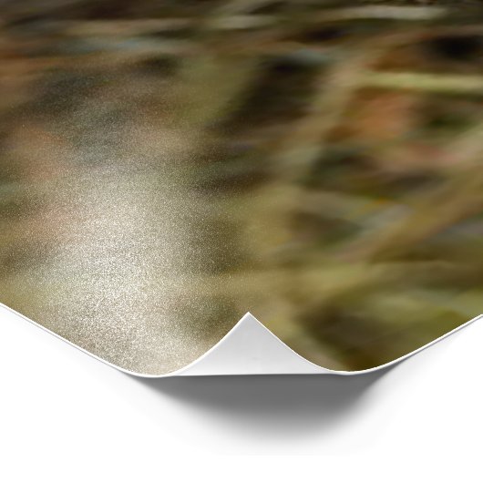 Babyhähne Fotodruck (Ecke)