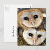 Babyhähne Postkarte (Vorne/Hinten)