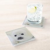 Babyharfen-Siegelwelpe auf Eis des weißen Meeres Glasuntersetzer (Schrägansicht)