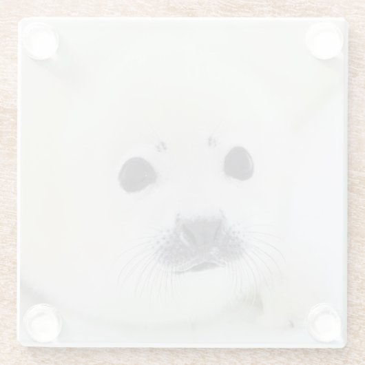 Babyharfen-Siegelwelpe auf Eis des weißen Meeres Glasuntersetzer (Rückseite)