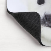 Babyharfen-Siegelwelpe auf Eis des weißen Meeres Mousepad (Ecke)