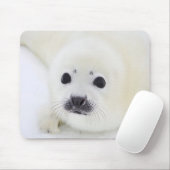 Babyharfen-Siegelwelpe auf Eis des weißen Meeres Mousepad (Mit Mouse)