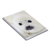 Babyharfen-Siegelwelpe auf Eis des weißen Meeres Notizblock (Rechte Seite)