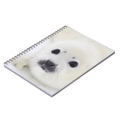 Babyharfen-Siegelwelpe auf Eis des weißen Meeres Notizblock (Linke Seite)