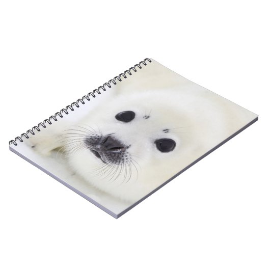 Babyharfen-Siegelwelpe auf Eis des weißen Meeres Notizblock (Linke Seite)