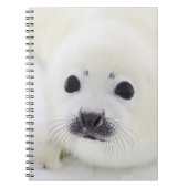 Babyharfen-Siegelwelpe auf Eis des weißen Meeres Notizblock (Vorderseite)