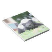 Babyhonigausweis auf grünem Grasfoto Notizblock (angewinkelt)