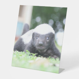 Babyhonigausweis auf grünem Grasfoto Sockelschild