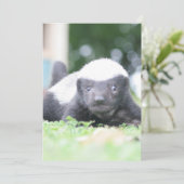 Babyhonigschild Feiertagskarte (Stehend Vorderseite)