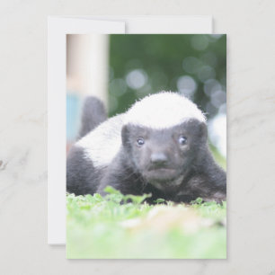 Babyhonigschild Feiertagskarte