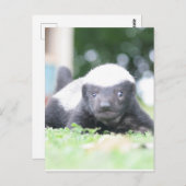 Babyhonigschild Postkarte (Vorne/Hinten)