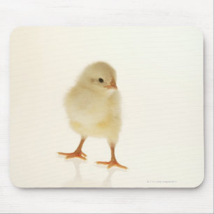 Babyhuhn Mousepad