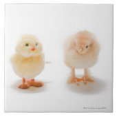 Babyhuhn und mechanisches Huhn des Fakes Fliese (Vorderseite)