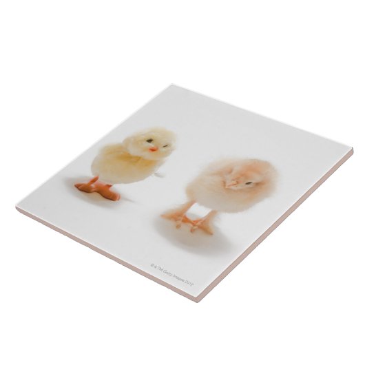 Babyhuhn und mechanisches Huhn des Fakes Fliese (Seite)